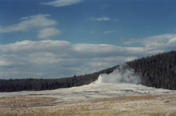 Old Faithful Geyser just erupting