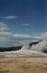 Old Faithful Geyser erupting