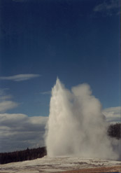 Old Faithful Geyser erupting