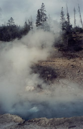 Hot Spring ~ dig that smell..!