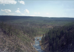 Firehole River