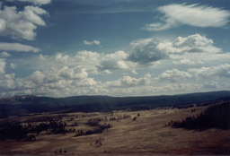 Blacktail Plateau