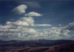 Blacktail Plateau