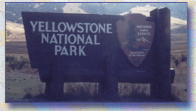 Yellowstone National Park